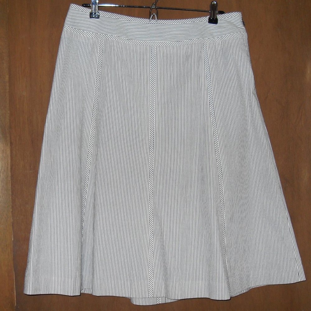 Talbots White/Blue Denim Railroad Stripe SKIRT 10